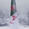 🇩🇿عبدالوهاب 🇩🇿's profile picture
