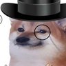 Mint's profile picture