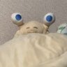 ちろーとくん's profile picture