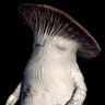 Фото профиля 🍄おばキノ🍄