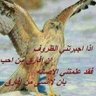 Фото профиля مفتاح الزوبه