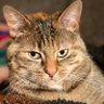 LittleBunny1899's profile picture