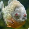 Profilbild von Winston Charchil Ghermez