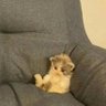 nur_00 profil fotoğrafı