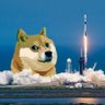 不下山 𝕏 ÐÐÐÐ To the mooon🇨🇦🇺🇸's profile picture