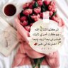 afrah 🌷's profile picture