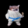 KarateFella 🇫🇮🏴☠️🇪🇺's profile picture