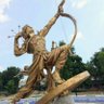 Anuj mokal's profile picture