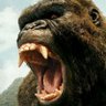King Kom 👑 🦍 profil fotoğrafı