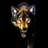 Måd Wôlf 9⃣9⃣.'s profile picture