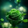 Talal alomrani💎's profile picture