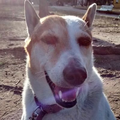 Maro_L's profile picture