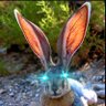 Rabbit's profile picture