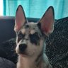 Moray's profile picture