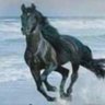 Abduladeem's profile picture