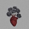ود الشريف🇸🇩's profile picture