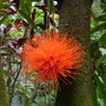 Фото профиля covidmecfshelpus