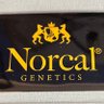 NORCAL GENETICS's profile picture