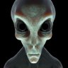 RaVeN's profile picture