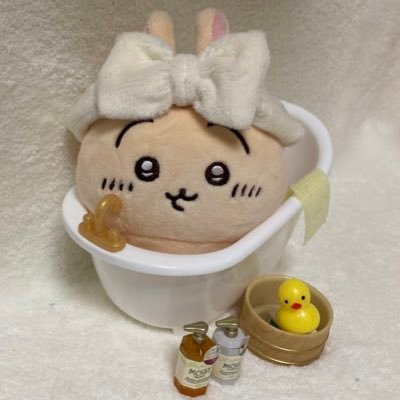 わたしの部屋で暮らすうさぎ🐰わたうさ's profile picture