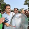 Nitin Acharya's profile picture
