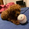 Yotaro24's profile picture