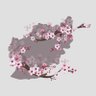 ځوان's profile picture