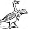 Geo Canard 🦆🗺️ ✝️ 的头像