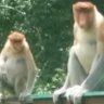 Profilbild von TanWillamKwee2