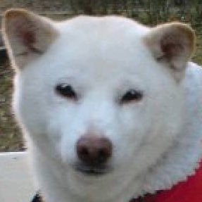 noboru_takase's profile picture
