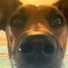 TonyHayfield's profile picture