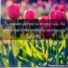 Constanza Abreu profil fotoğrafı