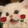 XYX's profile picture