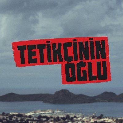 tetikcininoglu's profile picture