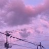 やなぎ。 的头像