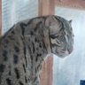 中水 奨治 profil fotoğrafı