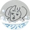 Фото профиля ビューティみょん🧠⚡️🦭