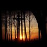 Sunrise & Sunset profil fotoğrafı