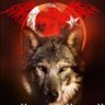🇹🇷ALPAGU HAN🇹🇷's profile picture