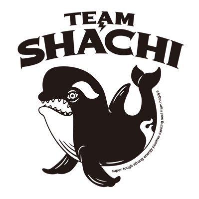 TEAM SHACHI(チームシャチ)'s profile picture