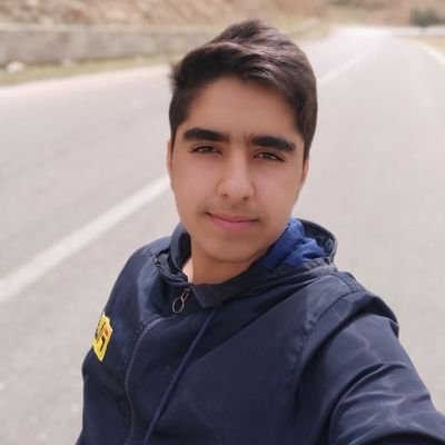 هنگامه چوبین's profile picture