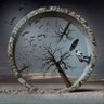 摄影师D.M profil fotoğrafı