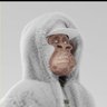 F-yung.btc's profile picture