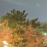 名が無き子 profil fotoğrafı