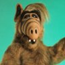 Profilbild von javiedor