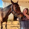 Handicapping the Horses (TaxiDave) 的头像