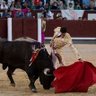 josé antonio garrido gonzalez's profile picture