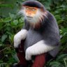 Фото профиля Papa