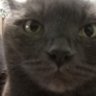 NPE's profile picture