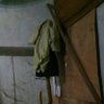 カクチュ 的头像
